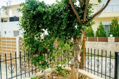 Sun By The Sea 2 Apartment Agia Pelagia  Luaran gambar
